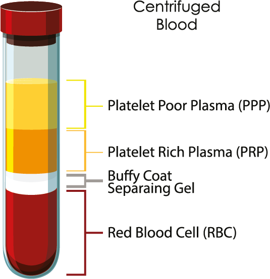 Centrifuged Blood